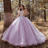 Crystal Light Purple Princess Sweetheart Quinceanera Dress