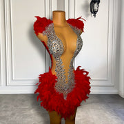 Ravishing Red Rhinestone Feather Dress