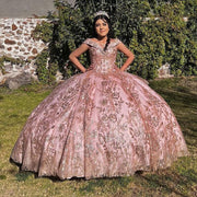 Pink Off The Shoulder Quinceanera Dresses Sparkly Lace Ball Gown Sweet 16 Princess Dress Gala Vestido De 15 Anos