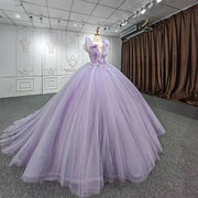 Princess Modest Sleeveless Quinceanera Dress