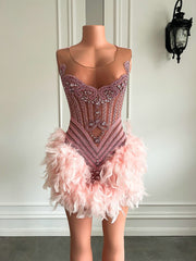 Stunning Sheer Mesh Luxury Beads Women Birthday Party Formal Gowns Pink Feather Short Prom Dresses