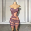 Stunning Sheer Pink Short Birthday Dress